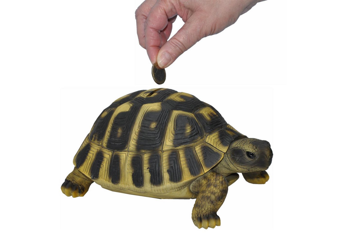 dazikemo Gartenfigur Spardose Sparschwein große Schildkröte Bild 5