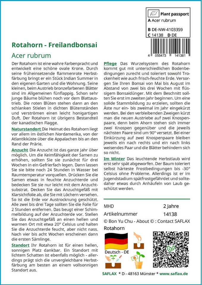 SAFLAX Blumensamen SAFLAX - Samen - Rotahorn