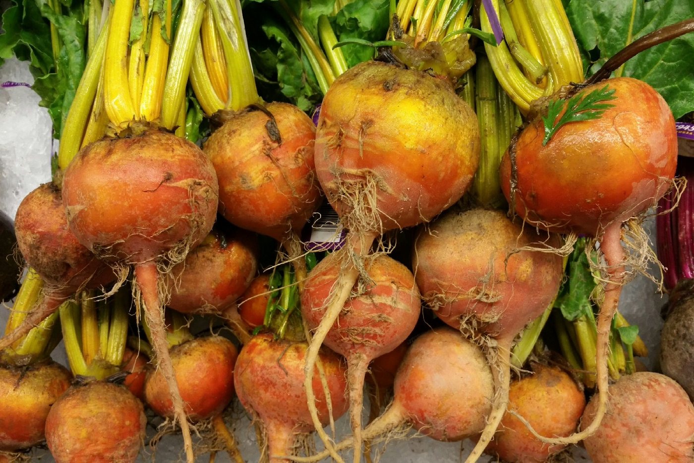 SAFLAX Gemüsesamen SAFLAX - Samen - BIO - Goldene Rote Beete Bild 2