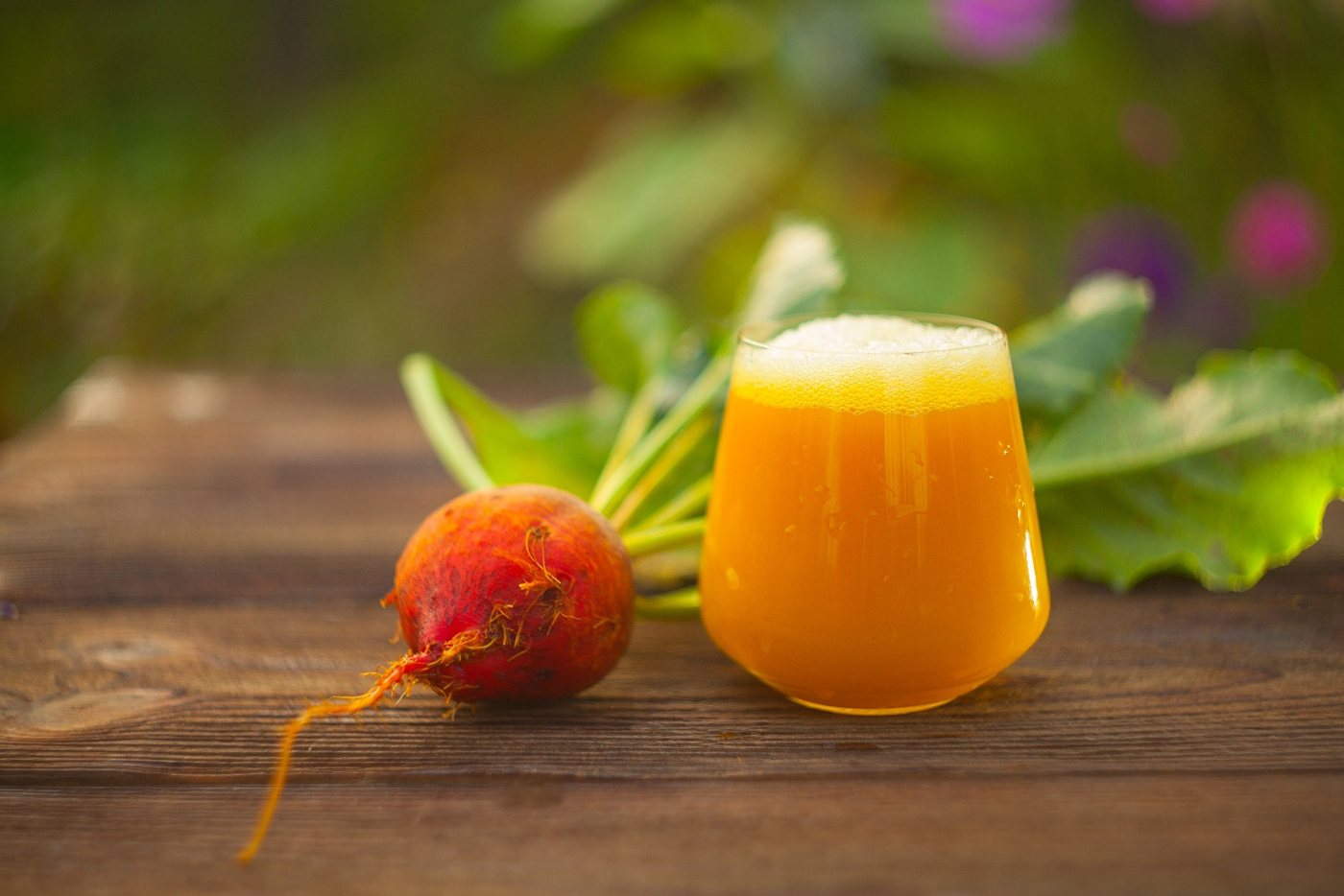 SAFLAX Gemüsesamen SAFLAX - Samen - BIO - Goldene Rote Beete Bild 5