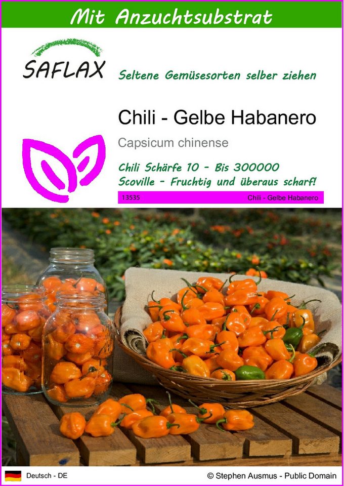 SAFLAX Gemüsesamen SAFLAX - Samen und Substrat - Chili - Gelbe Habanero Bild 2