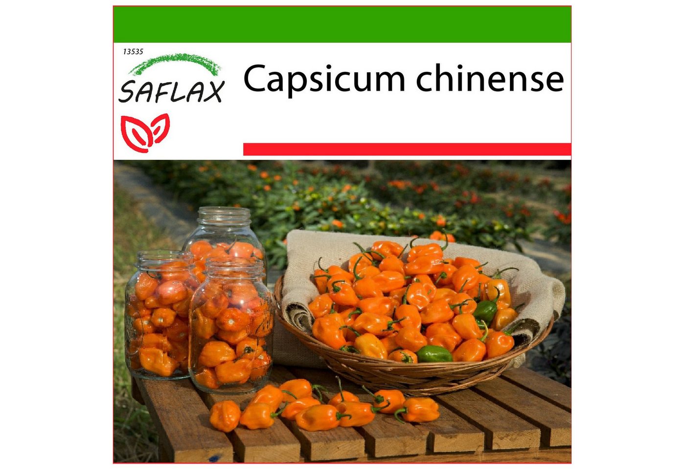 SAFLAX Gemüsesamen SAFLAX - Samen und Substrat - Chili - Gelbe Habanero Bild 3