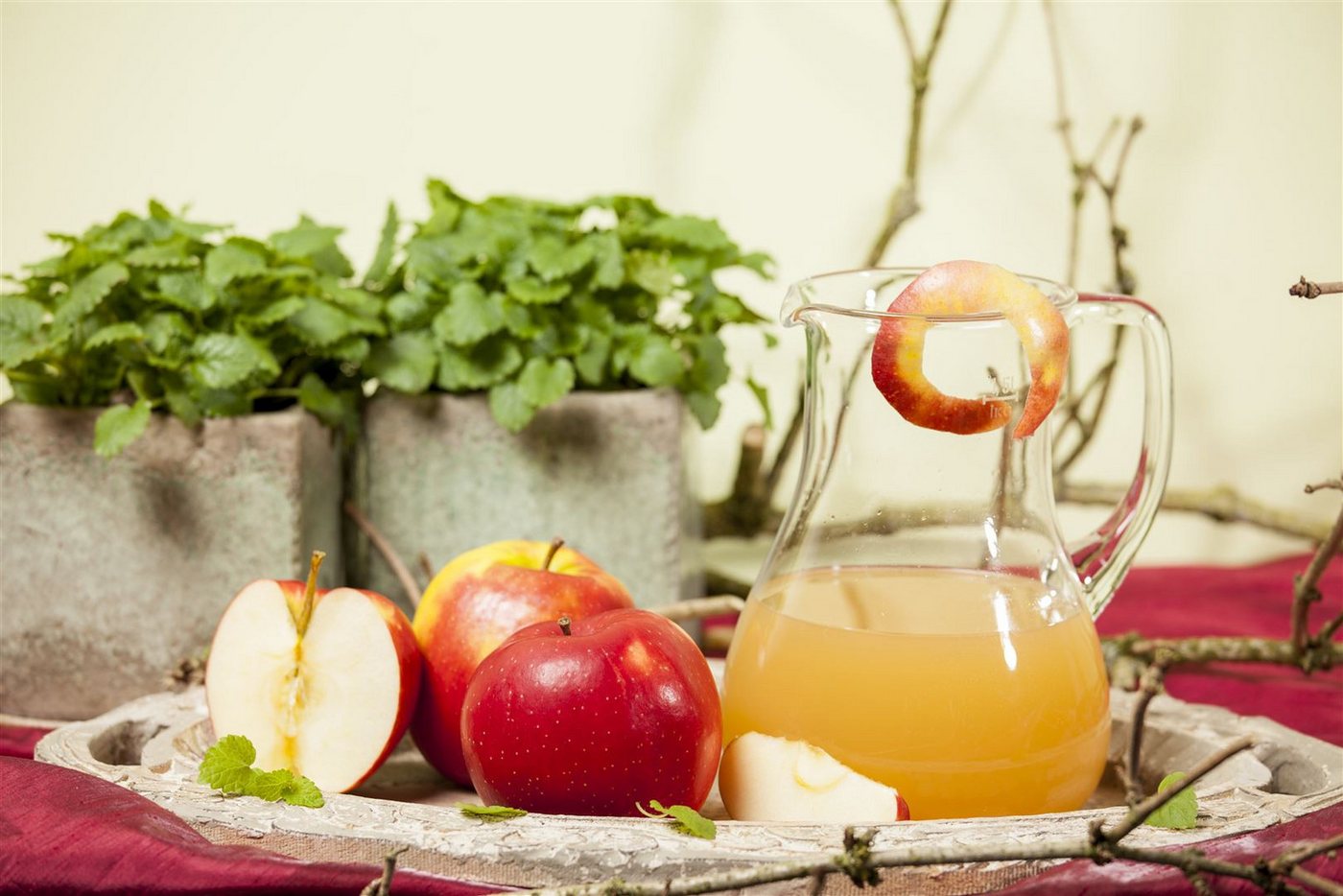 Pflanzen für Dich Obstpflanze Malus 'Jonagold', 1 St., Jonagold-Apfel, Apfelbaum, großfruchtig, süßsäuerlich Bild 3