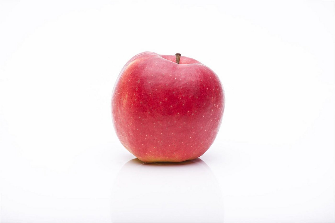 Pflanzen für Dich Obstpflanze Malus 'Jonagold', 1 St., Jonagold-Apfel, Apfelbaum, großfruchtig, süßsäuerlich Bild 5