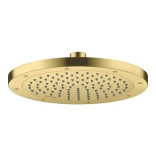 hansgrohe Kopfbrause EcoSmart plus Axor Deck.- o Wandmont., 245mm, 1j, brush. br