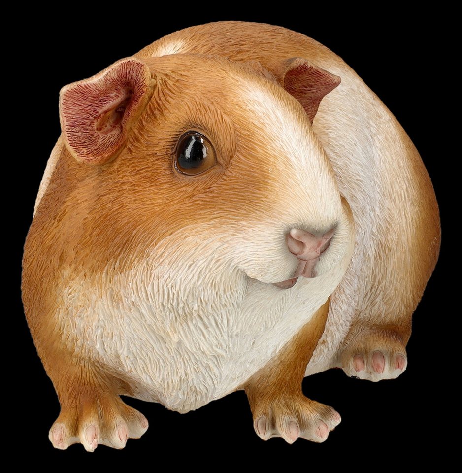 Figuren Shop GmbH Gartenfigur Gartenfigur - Meerschweinchen groß - HotAnt - Tierfigur Dekofigur Deko Bild 2
