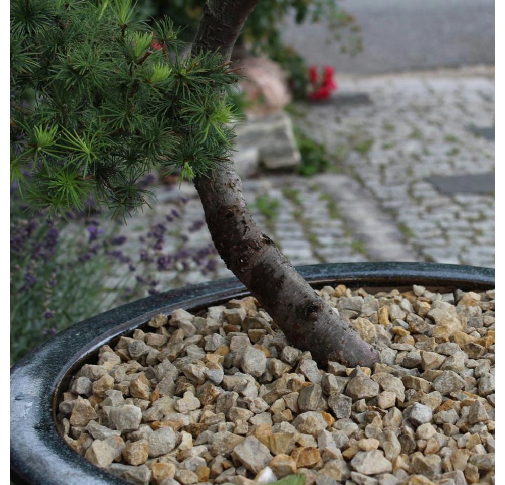 CM-Gartendesign Stein Vanilla Sun Splitt, (8/16mm, gelblich), 20kg