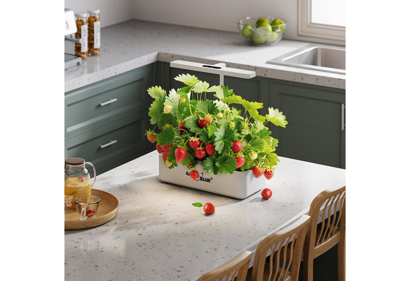 GreenBlue Wasserhyazinthentopf GB133 SMART Blumentopf für 12 Pflanzen 4L LEDs, Intelligentes Indoor-Pflanzenaufzuchtsystem Bild 4