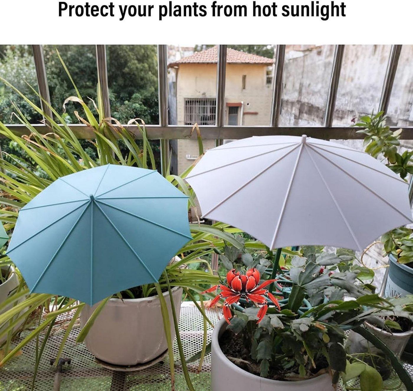 FELIXLEO Sonnenschirm 3 Pack Plant Shade Umbrella 34x26.5cm PP Garden Protection Covers