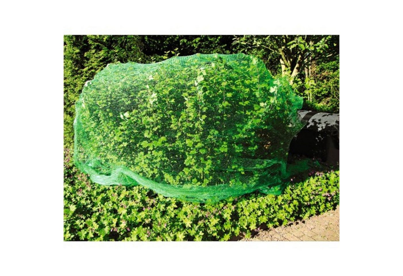 BURI Schutznetz Vogelschutznetz 5x4m grün Teichnetz Laubschutznetz Pflanzenschutznetz