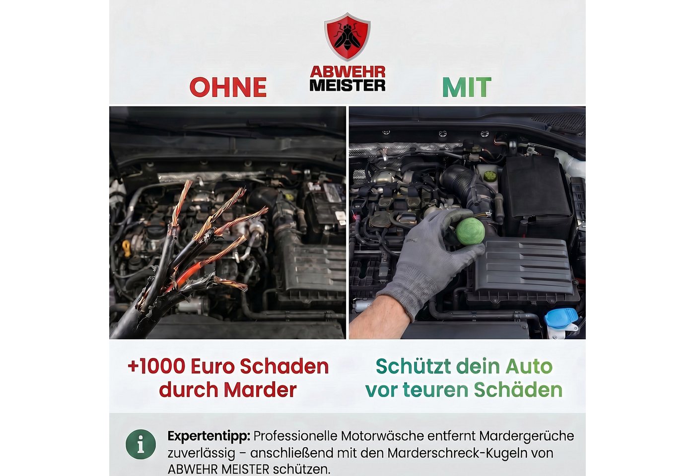 ABWEHR MEISTER Vergrämungsmittel ORIGINAL Marderschreck-Kugeln, Set, 4-St., Marderschutz für bis zu 6 Monate