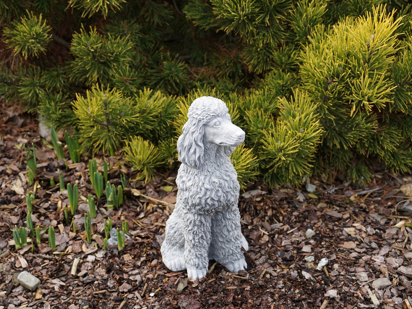 gartendekoparadies.de Gartenfigur Stolzer Pudel mit üppigen Locken, H. 28 cm, 4 kg, Frostsicher Bild 4