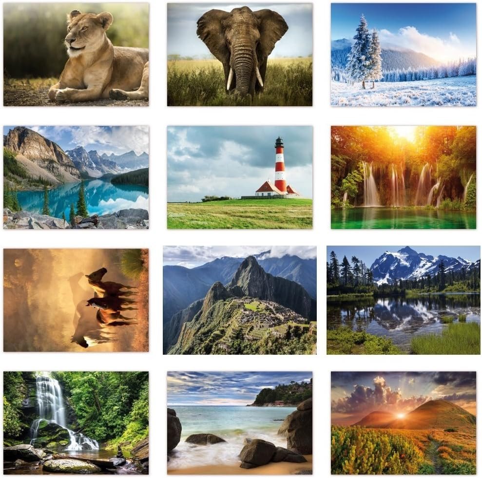 LYSCO Ansichtskarte Postkarten SET - verschiedene Motive Natur, Landschaften und Tiere, 12 Stück - besonders gut beschreibbar mit allen Schreibmaterialien