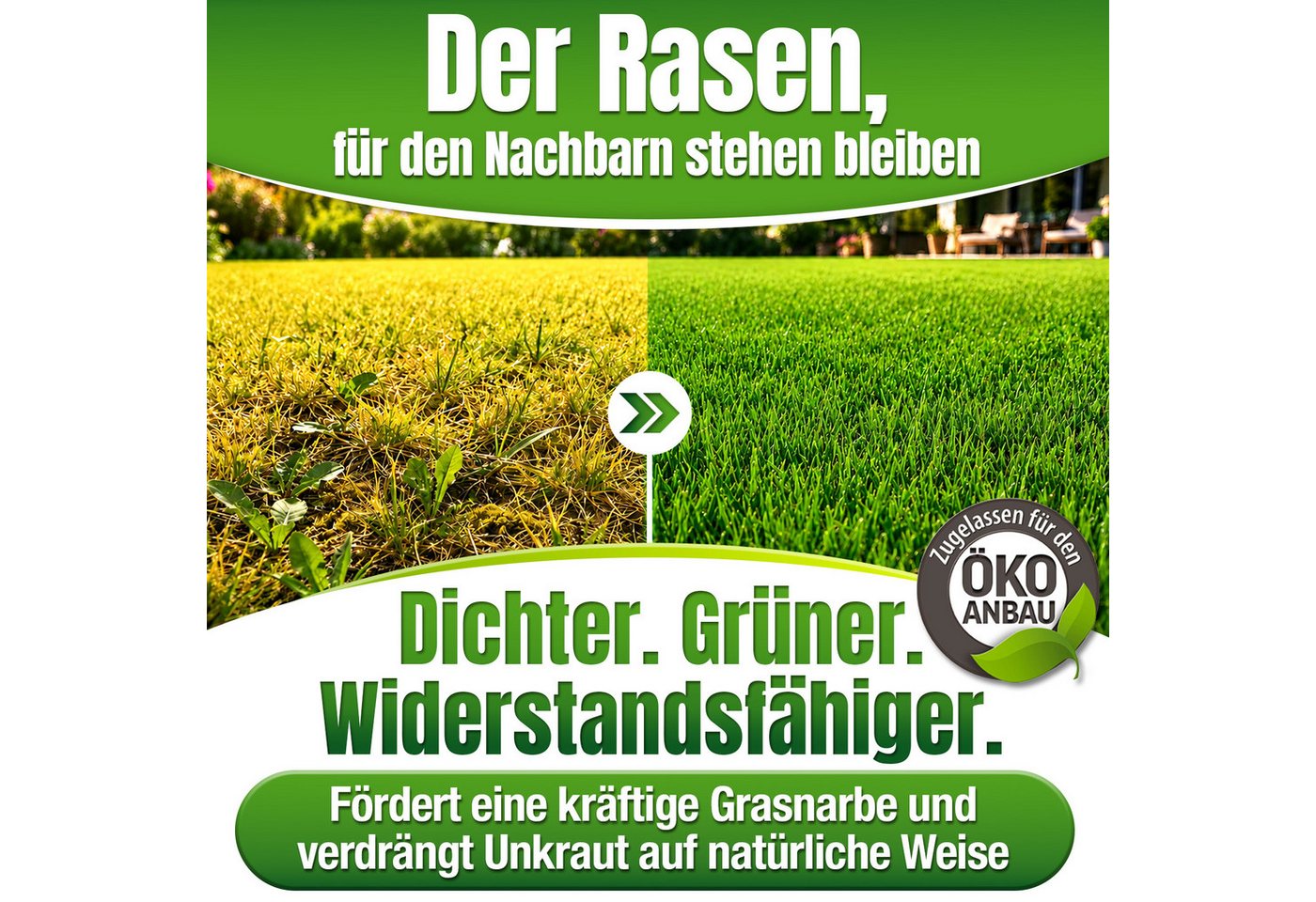 DÜNGEMEISTER Rasendünger BIO Rasen Dünger Premium NPK 9+3+6 in Bio-Qualität, aktiviert müde + ausgelaugte Böden, heilt Rasenlücken, kein Rasenfilz Bild 2