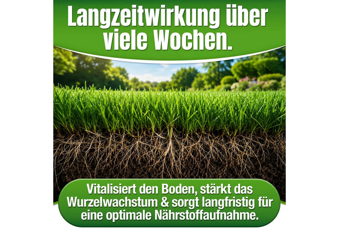 DÜNGEMEISTER Rasendünger BIO Rasen Dünger Premium NPK 9+3+6 in Bio-Qualität, aktiviert müde + ausgelaugte Böden, heilt Rasenlücken, kein Rasenfilz Bild 4