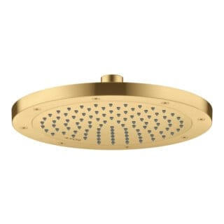 hansgrohe Kopfbrause EcoSmart plus Axor Deck.- o Wd, 245mm, 1j, brush. gol opt