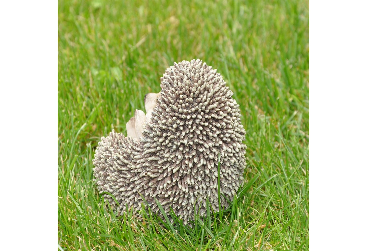 dazikemo Gartenfigur Dekofigur Gartenfigur Igel 12 x 11 x 12 cm Bild 4