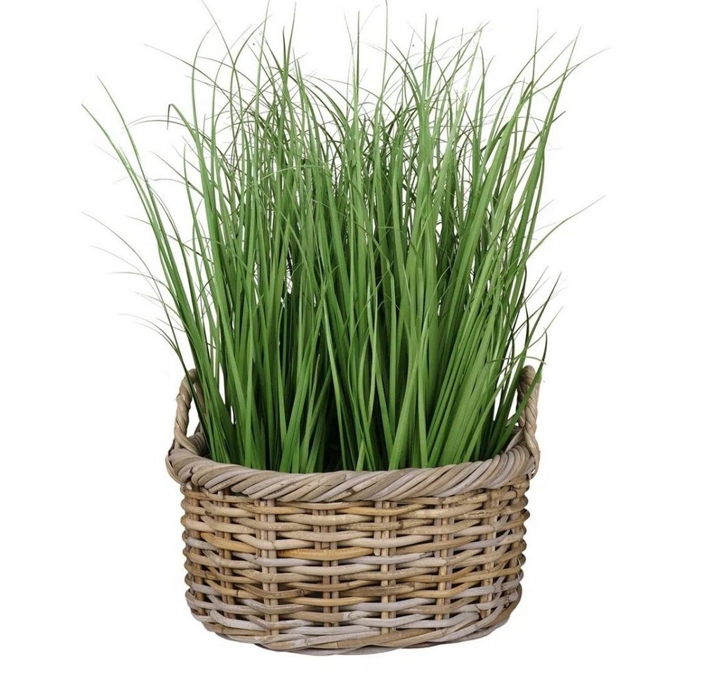 LebensWohnArt Pflanzschale Natur Rattankorb NORDERNEY Kubu Grey ca.40cm Pflanzkorb Griffe