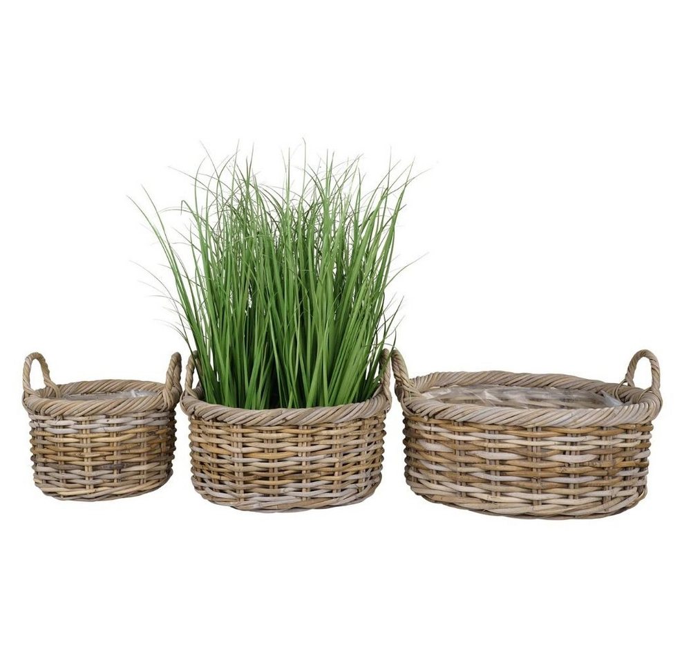 LebensWohnArt Pflanzschale Natur Rattankorb NORDERNEY Kubu Grey ca.40cm Pflanzkorb Griffe Bild 2