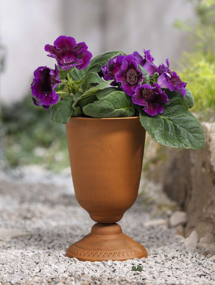 Dekoleidenschaft Pflanzkübel "Pokal" Metall, Rost-Optik, 33 cm hoch, Outdoor Blumentopf, Pflanztopf, Pflanzer für Draußen, Garten Amphore winterfest Bild 2