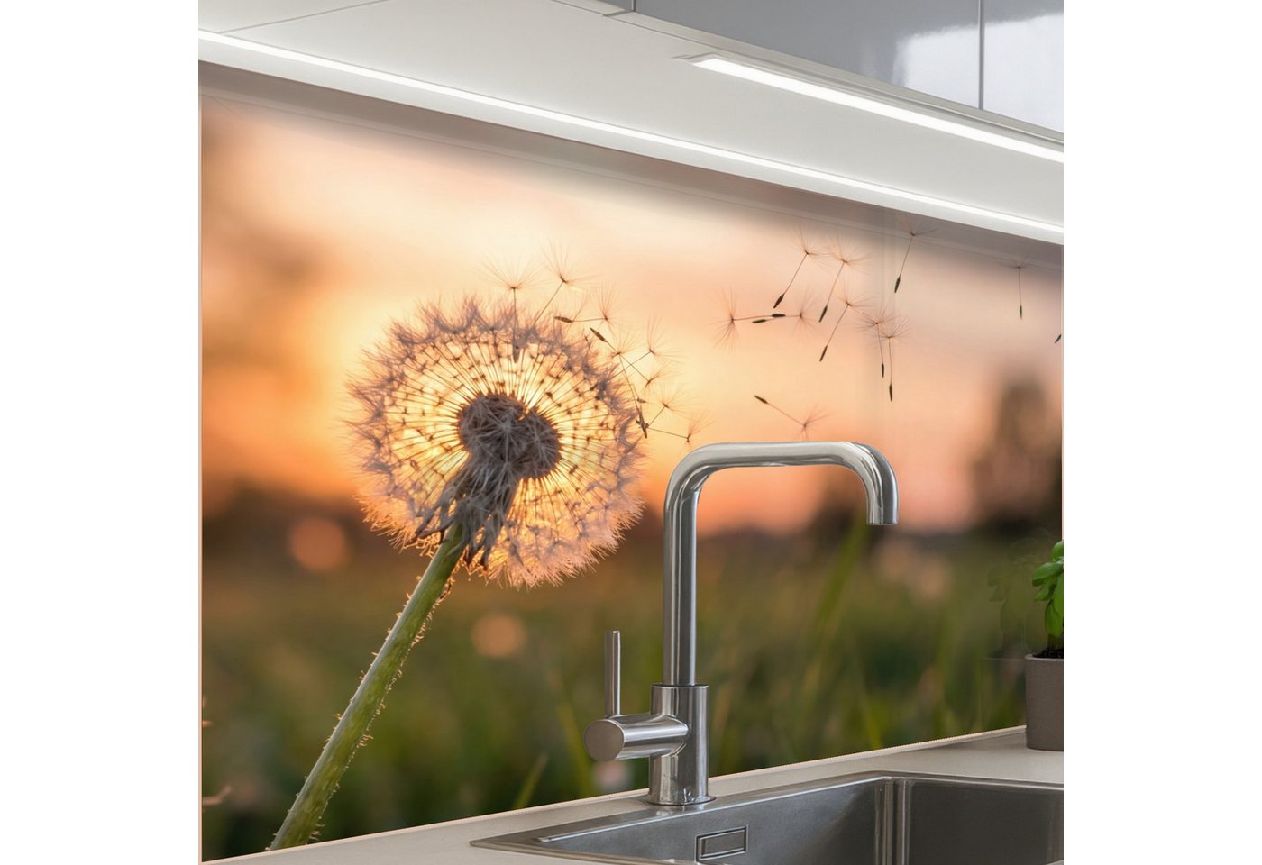 KitchenYeah Küchenrückwand Muster selbstklebend (keine Folie) Löwenzahn - Sonnenuntergang - Feld, (1-tlg), Spritzschutz, Küche, Rückwand, Küchenwand, Küchenfront, 30x20 cm