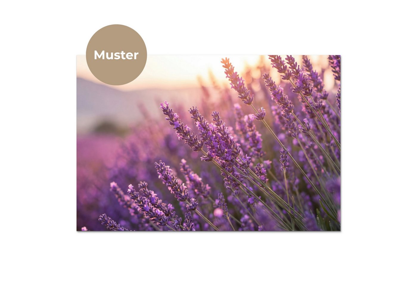 KitchenYeah Küchenrückwand Muster selbstklebend (keine Folie) Lavendel - Lila - Sonnenlicht, (1-tlg), Spritzschutz, Küche, Rückwand, Küchenwand, Küchenfront, 30x20 cm