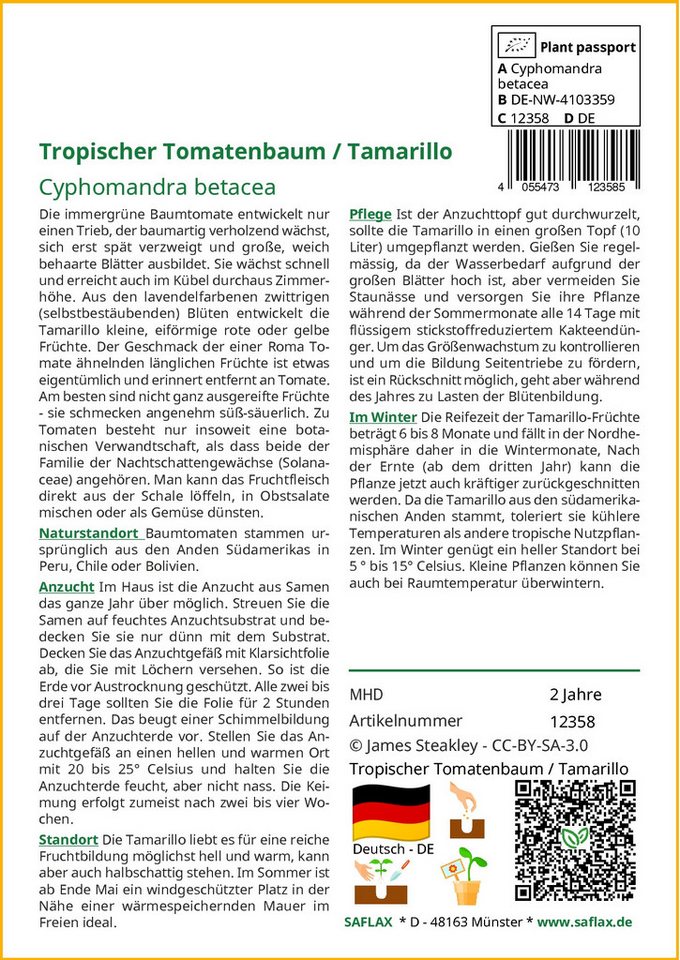 SAFLAX Blumensamen SAFLAX - Samen und Substrat - Tropischer Tomatenbaum / Tamarillo Bild 5