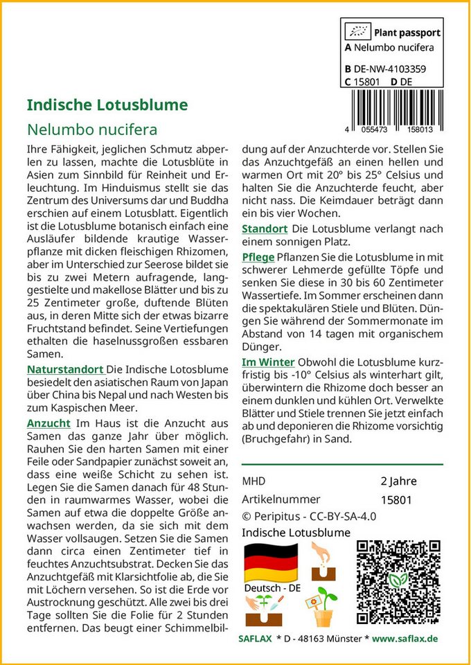 SAFLAX Blumensamen SAFLAX - Samen und Substrat - Indische Lotusblume