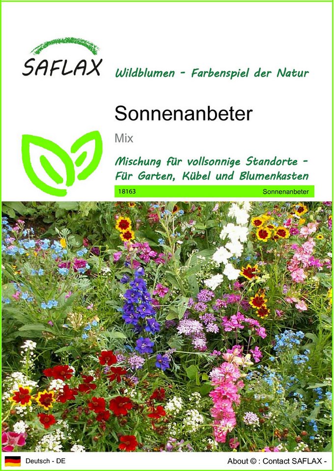 SAFLAX Blumensamen SAFLAX - Samen - Sonnenanbeter