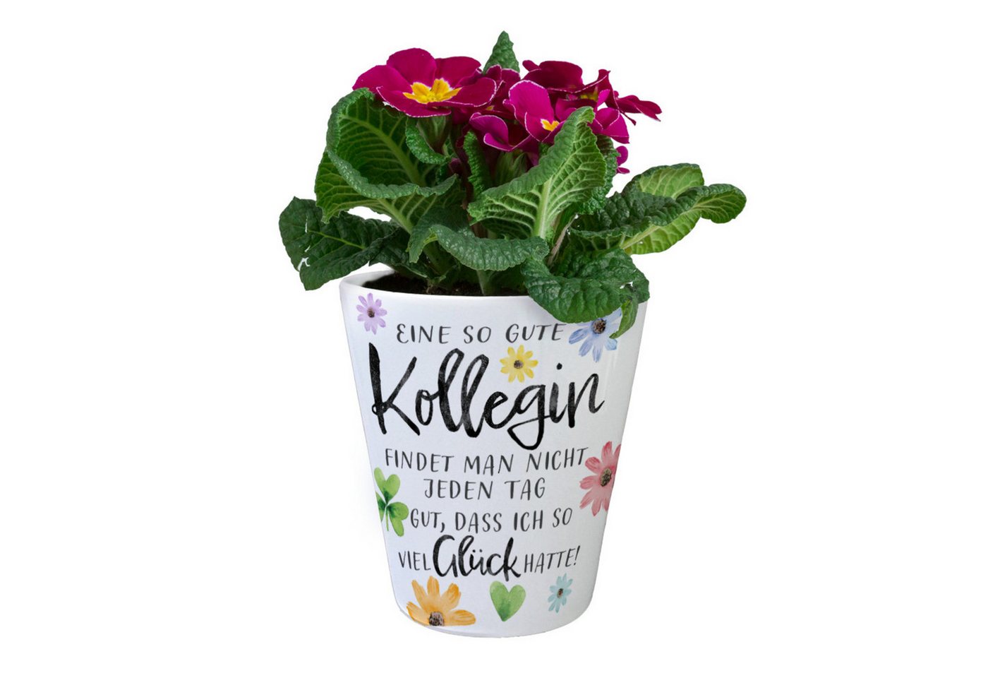 speecheese Blumentopf Blüten und Blätter Blumentopf mit Spruch Glück gehabt toller Kollegin