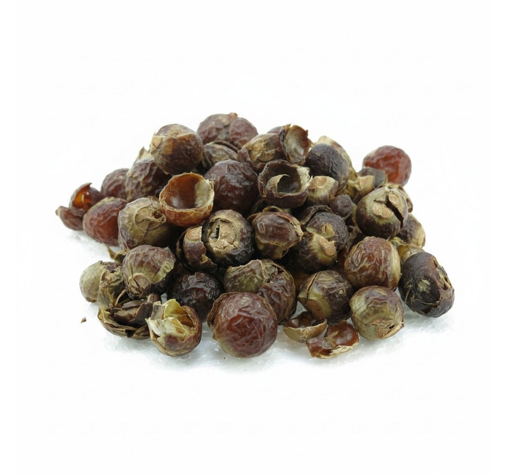 TWaLa Filtersubstrat, Indische Waschnüsse 1 Kg lose in PE-Beutel Bild 2