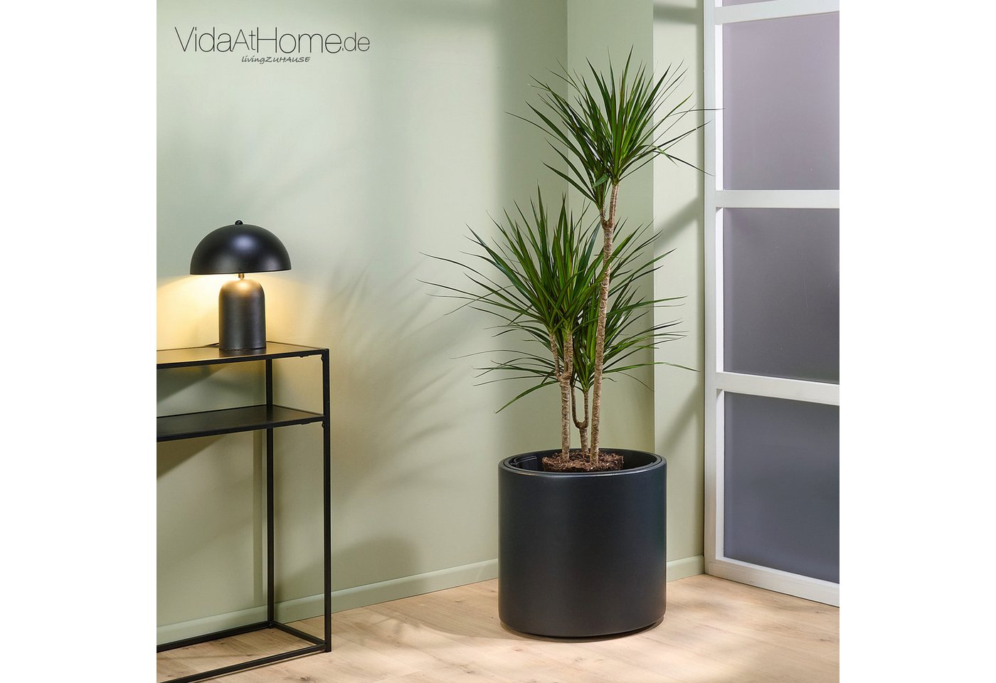 VidaAtHome.de Blumentopf Pflanzgefäß BATOS ø 47er mit Bewässerungseinsatz Bild 2