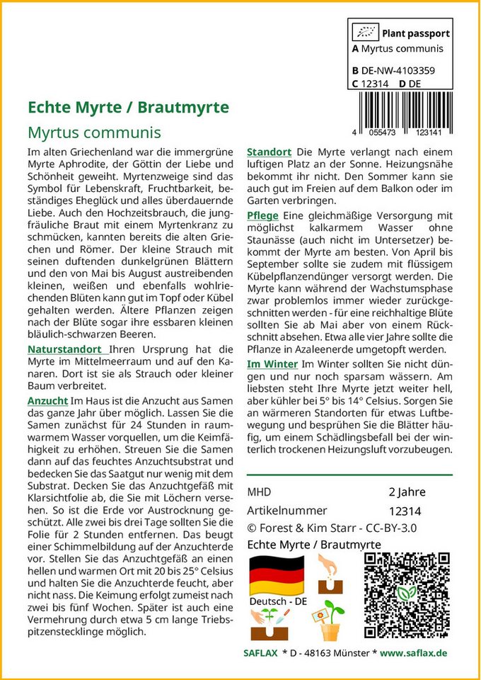 SAFLAX Blumensamen SAFLAX - Geschenkset - Echte Myrte / Brautmyrte Bild 4