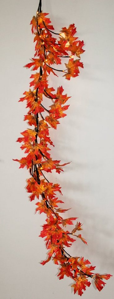 Luna24 simply great ideas... Lichterkette LED Lichterkette Herbst Idylle mit 64 warm weiße LEDs, 64-flammig Bild 2