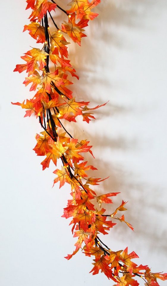 Luna24 simply great ideas... Lichterkette LED Lichterkette Herbst Idylle mit 64 warm weiße LEDs, 64-flammig Bild 3