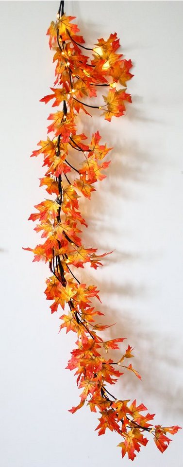 Luna24 simply great ideas... Lichterkette LED Lichterkette Herbst Idylle mit 64 warm weiße LEDs, 64-flammig Bild 4