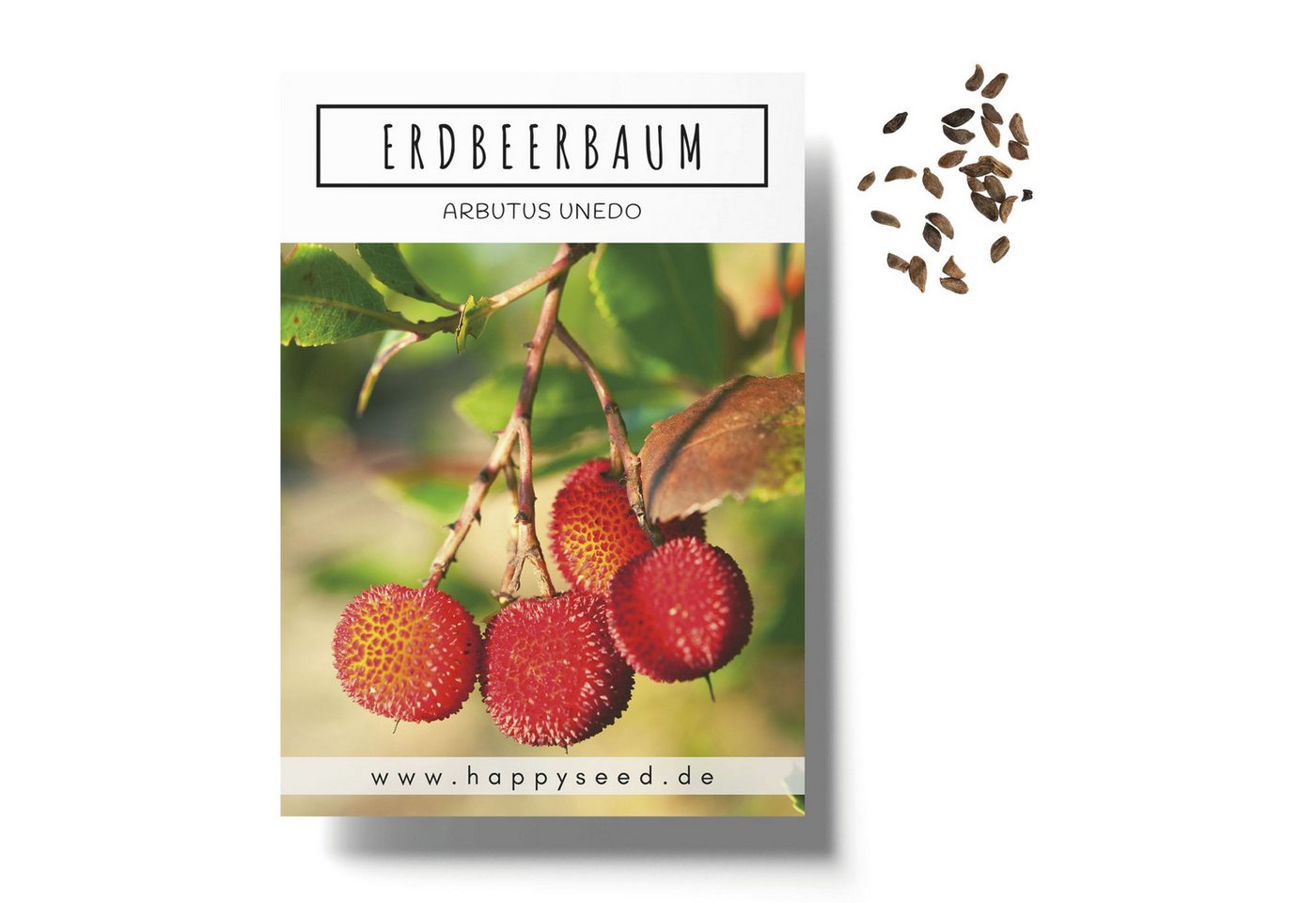 HappySeed Blumensamen Erdbeerbaum Samen - Arbutus unedo, Blumen Bild 2