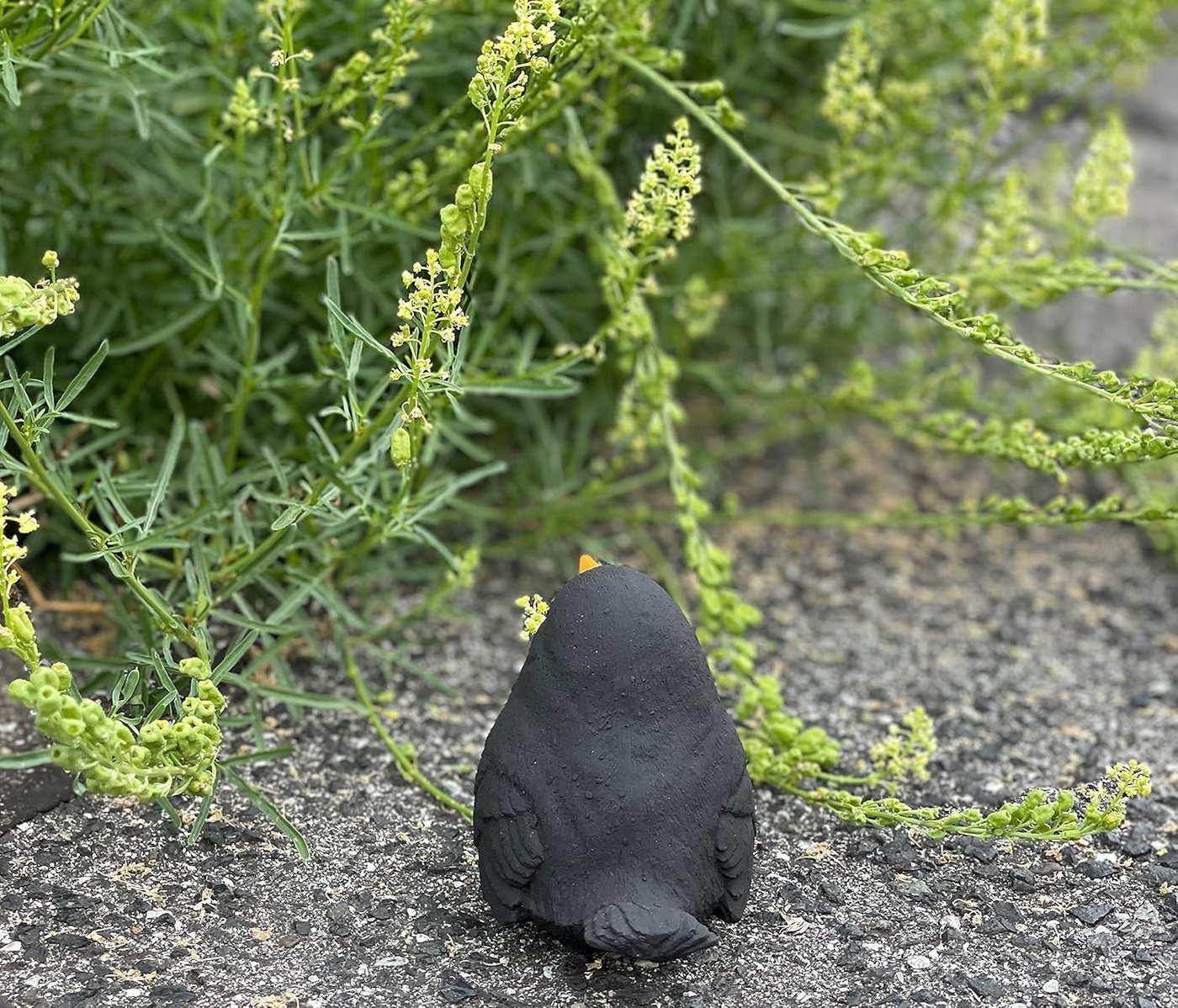 Stone and Style Gartenfigur Frostfeste Steinfigur Amsel Vogel Bild 2
