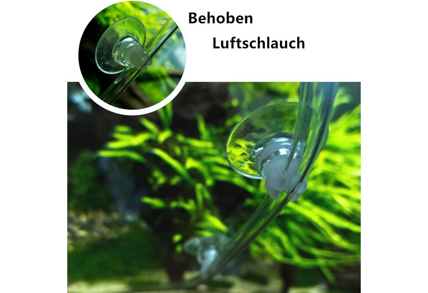 FELIXLEO Saugnapfträger 30 Stück Aquarium Saugnapf Clips, Aquarium Saugnapf Halter Bild 3