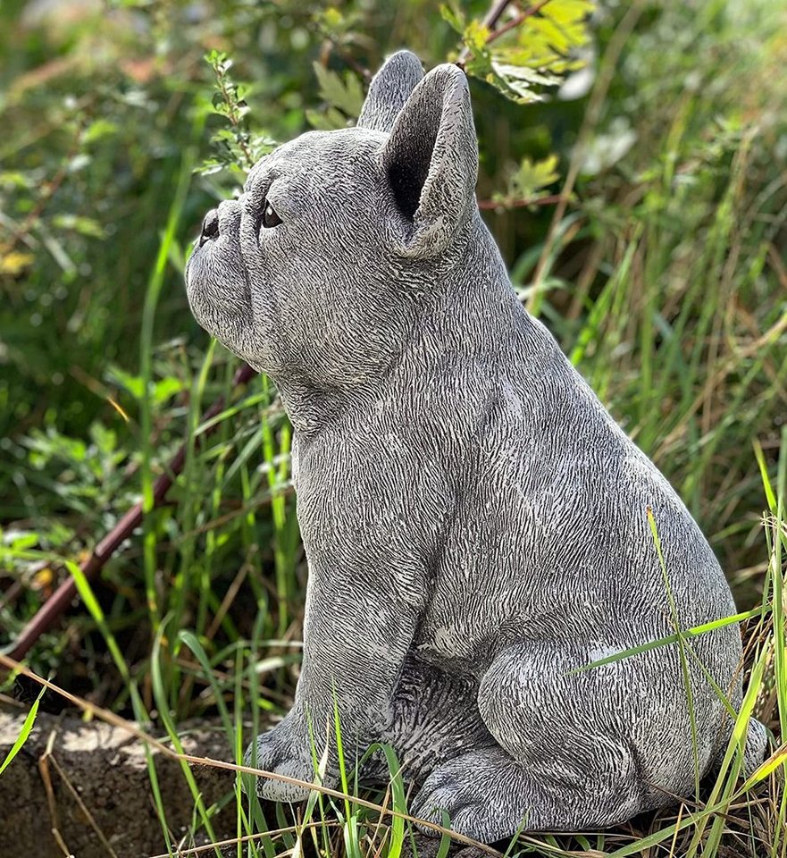 Stone and Style Gartenfigur Frostfeste Steinfigur Französische Bulldogge Frenchie groß Bild 2