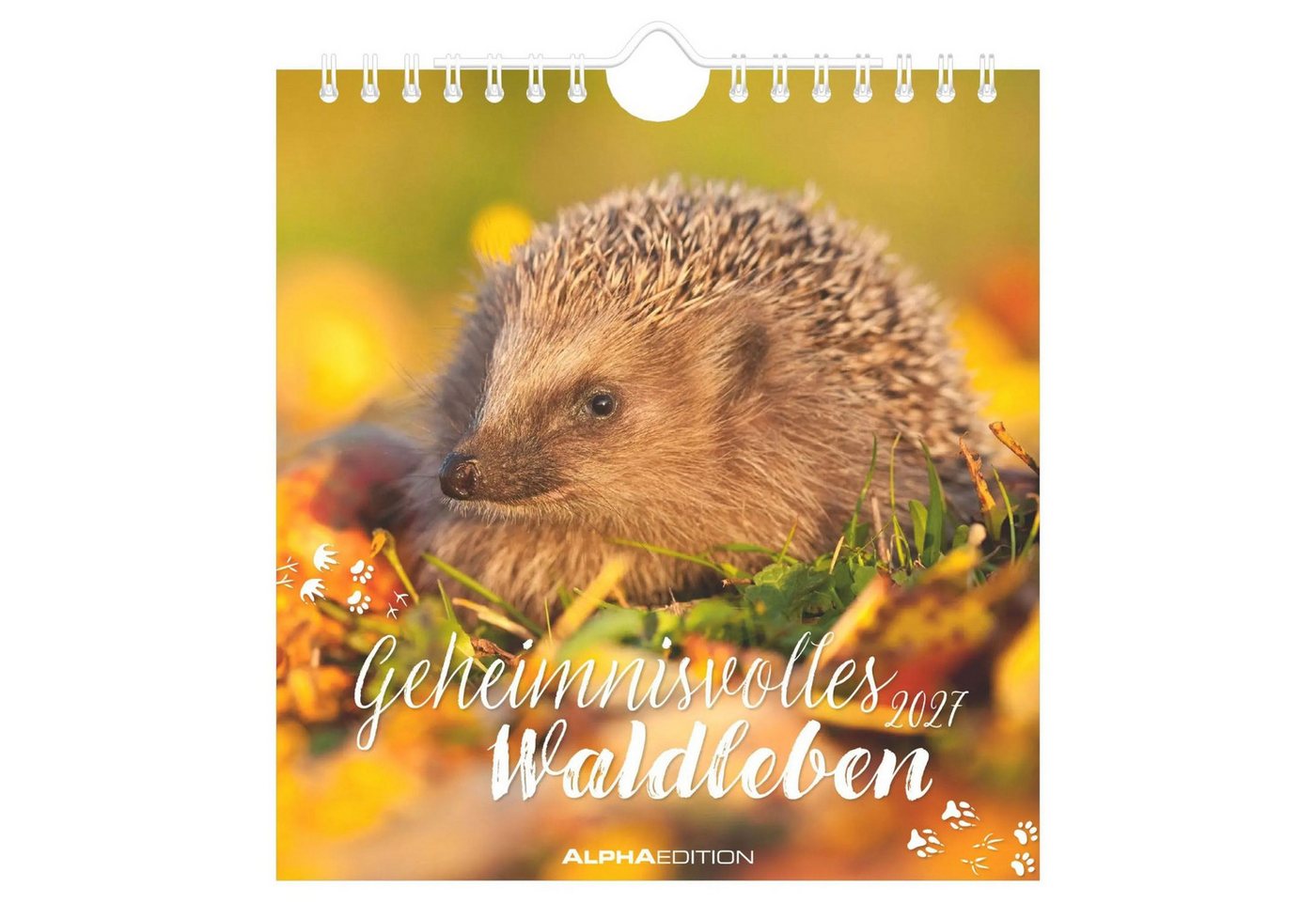 NEUMANN Wandkalender Geheimnisvolles Waldleben 2027 Bild 2