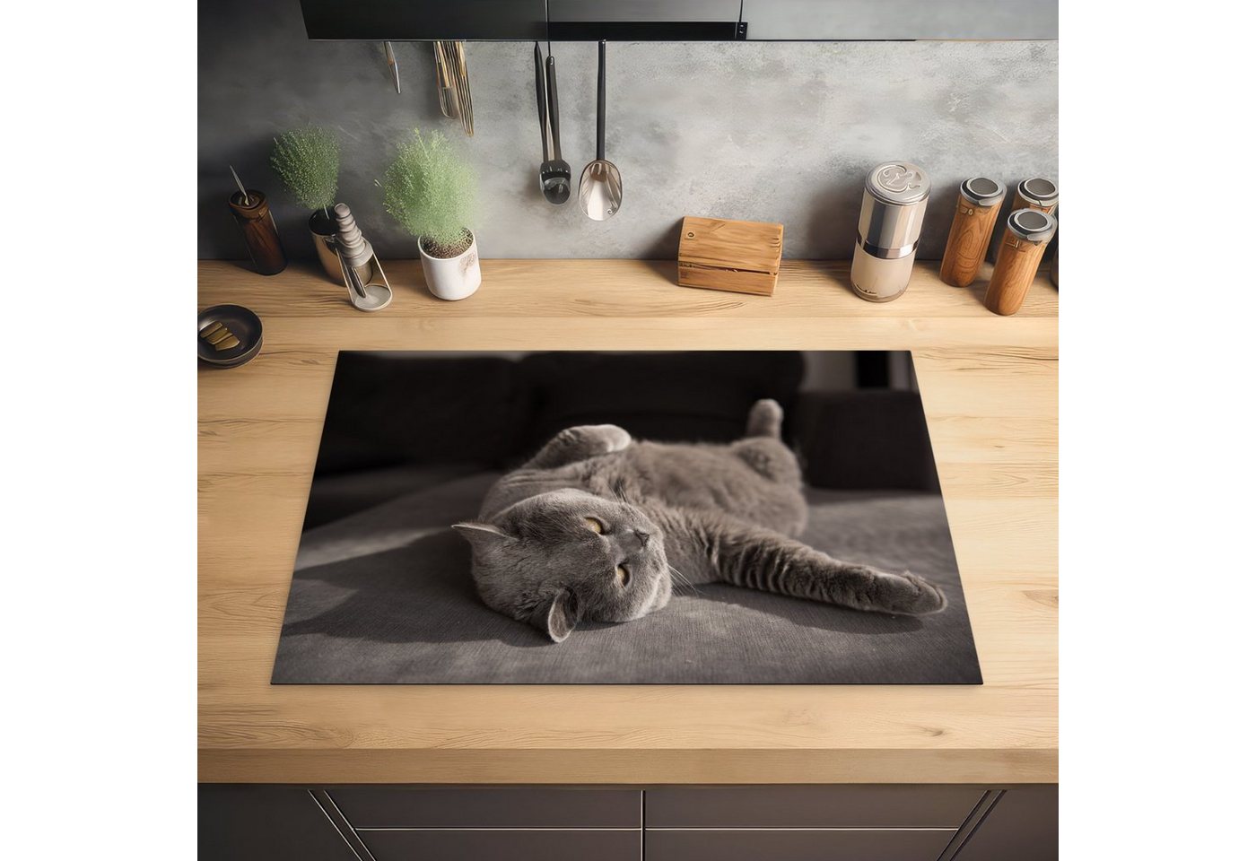 MuchoWow Herd-Abdeckplatte Tier - Katze - Grau, Vinyl, (1 tlg), Cerankochfeld Abdeckung, Herd Abdeckplatten Vinyl, 76x51.5 cm Bild 4