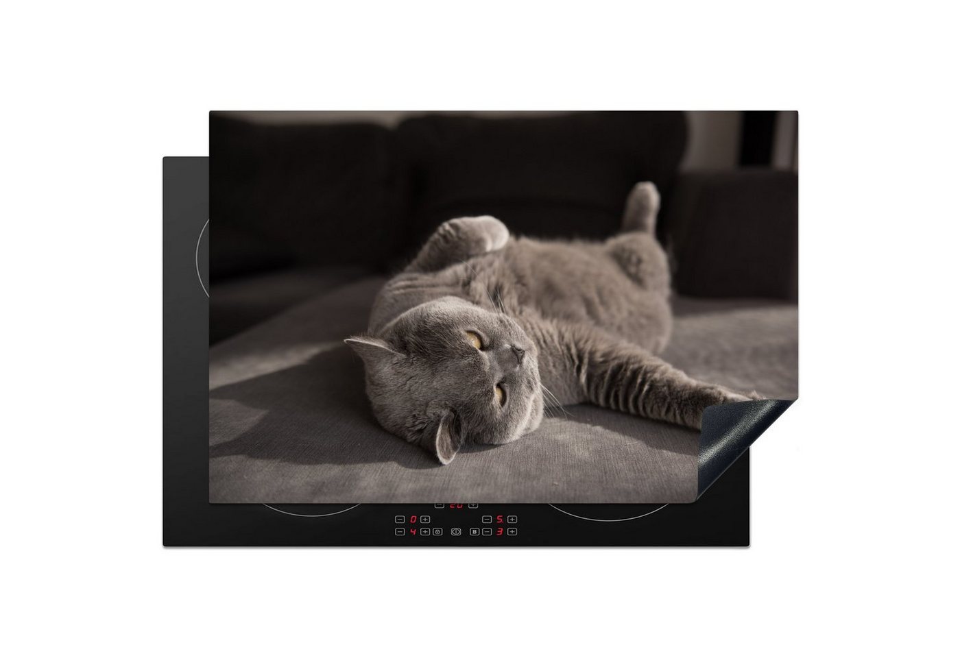MuchoWow Herd-Abdeckplatte Tier - Katze - Grau, Vinyl, (1 tlg), Cerankochfeld Abdeckung, Herd Abdeckplatten Vinyl, 76x51.5 cm Bild 5