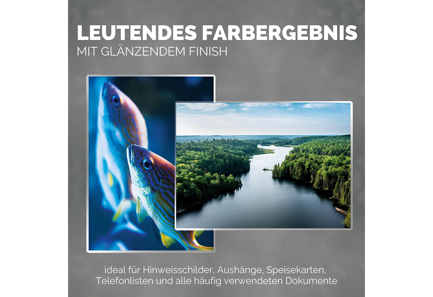 MK Vertriebs KG Schutzfolie 100 Laminierfolien DIN A4 - 2x 80 Mic - beidseitig matt, 100% wasserdicht, extrem reißfest und stabil Bild 4