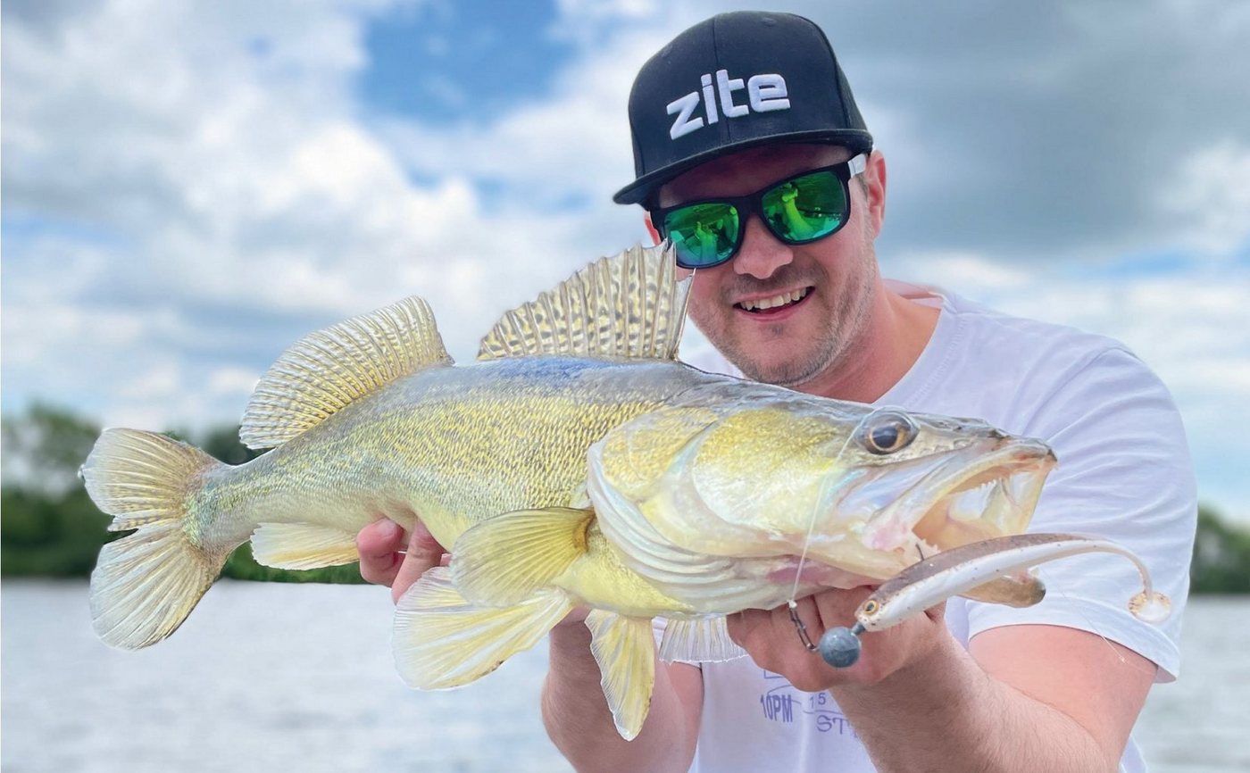Zite Kunstköder Gummifische Zander Set - Softbait Angelköder Lightning Perch UV-Aktiv