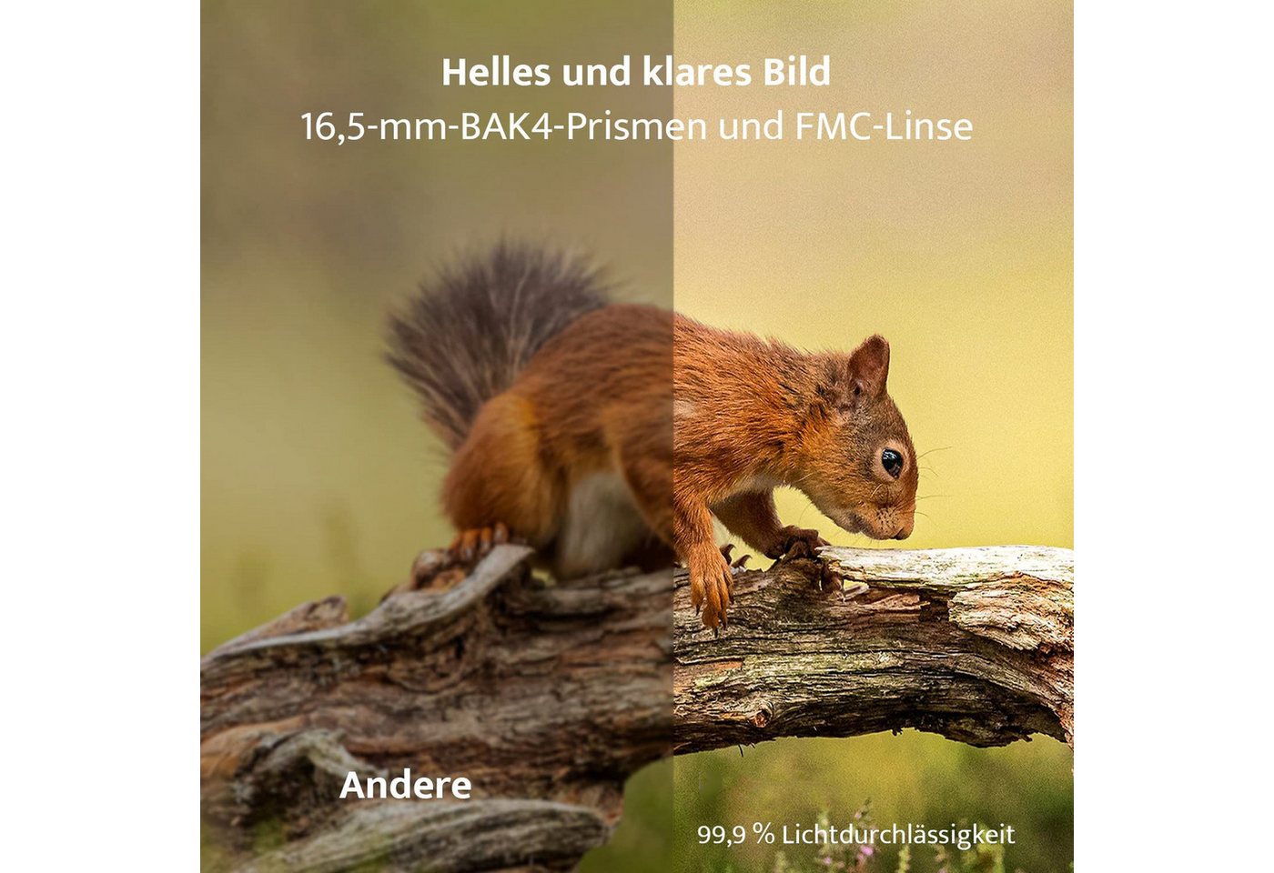 TWUFY Fernglas 12x42 HD Kompakte Ferngläser wasserdicht für Jagd, Wandern Fernglas (Outdoor Sportspiele Vogelbeobachtung Reisen Jagd Konzerte)