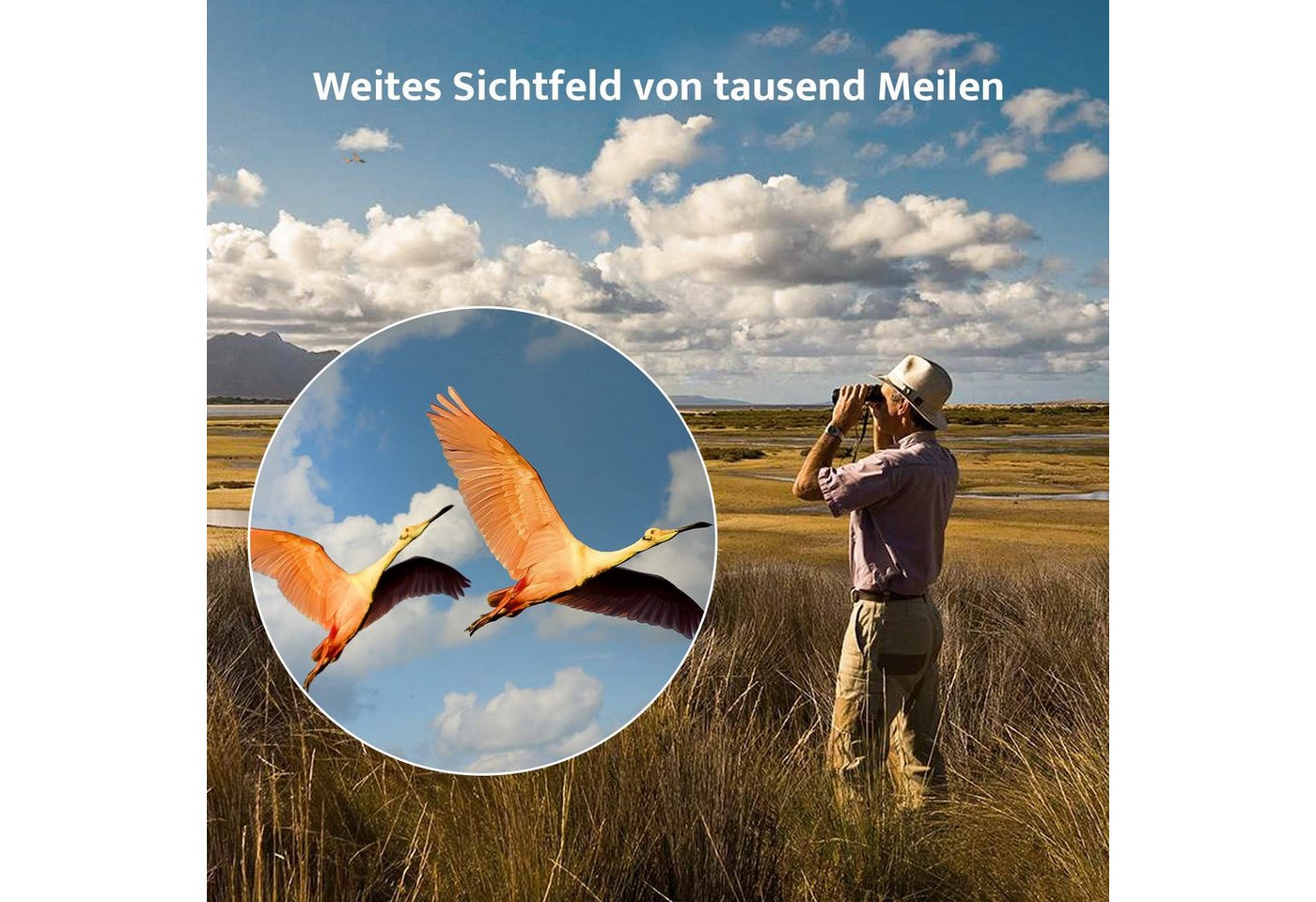TWUFY Fernglas 12x42 HD Kompakte Ferngläser wasserdicht für Jagd, Wandern Fernglas (Outdoor Sportspiele Vogelbeobachtung Reisen Jagd Konzerte) Bild 2