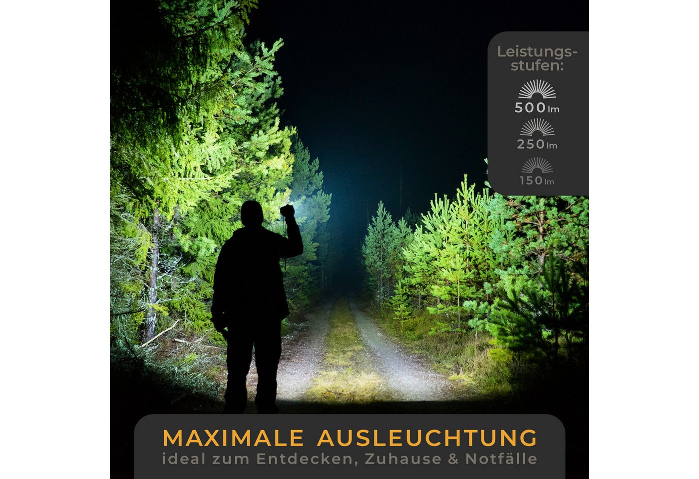 Lichtmeister Taschenlampe (500 Lumen mit AAA Batterien) - Taschenlampe LED