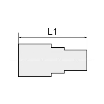 Riegler Verlängerungsstück, lang, G 1/8 a., G 1/8 i., SW14, MS v., L=22mm
