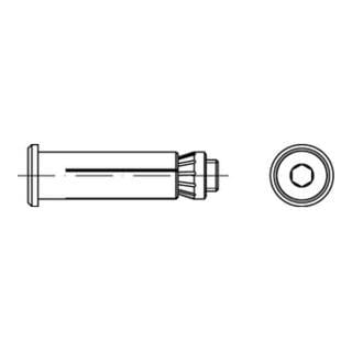 ART 82031 LINDAPTER-Hollo-Bolt St./10.9 HBCSK 08-Größe 1 galv. verzinkt S